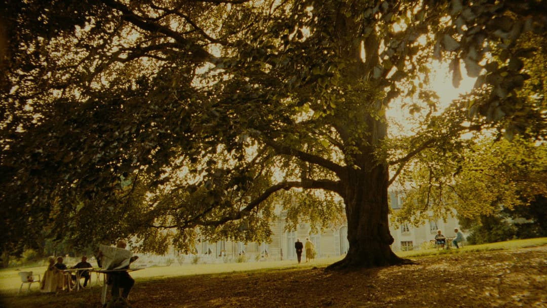 Три кольори: Синій backdrop 14