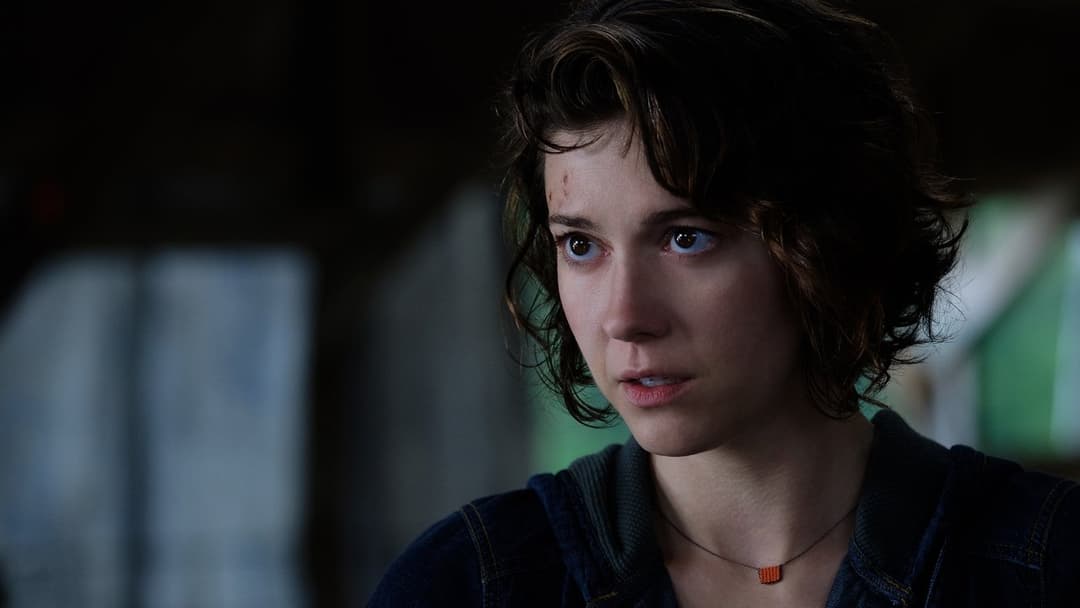 Двійник backdrop 16