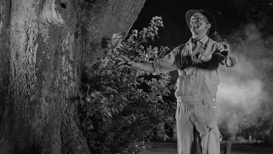 Vampire Zombies...from Space! backdrop 7