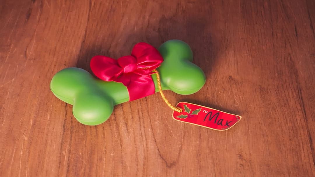 Der Grinch backdrop 19