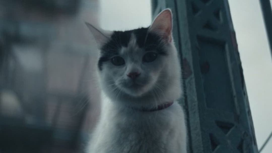 A Quiet Place: Tag Eins backdrop 9