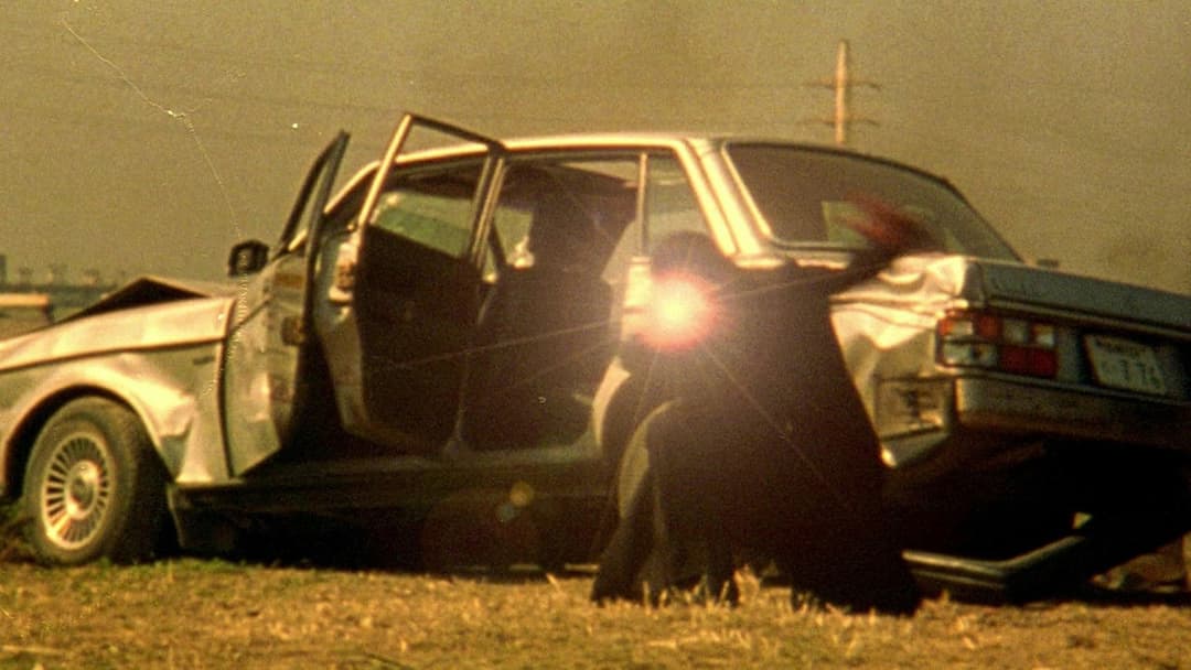 DEAD OR ALIVE 犯罪者 backdrop 10