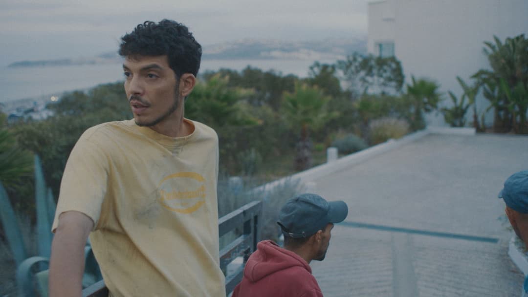 Behind the Palm Trees backdrop 9