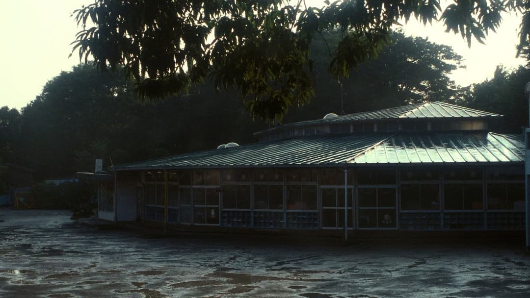 Dark Water backdrop 14