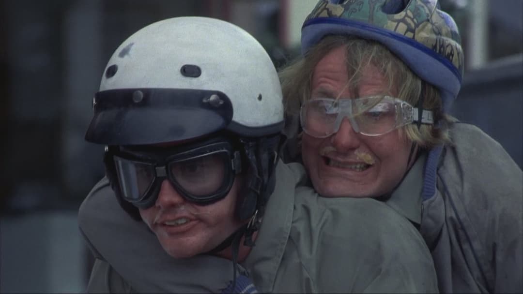 Dumm und Dümmer backdrop 20