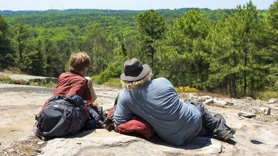 Picknick mit Bären backdrop 8