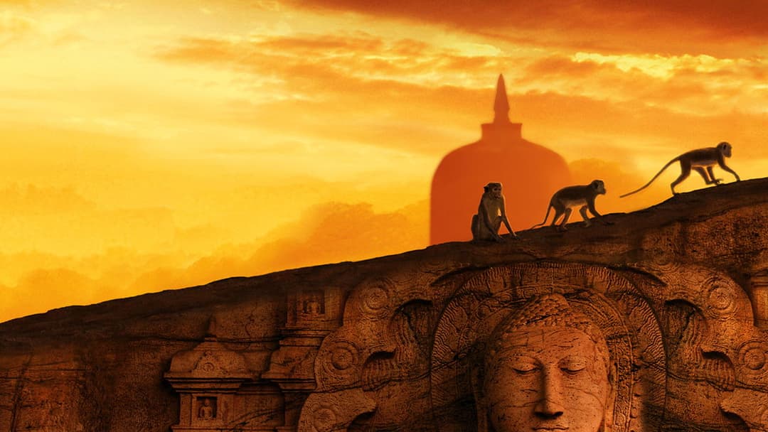 Monkey Kingdom backdrop 1