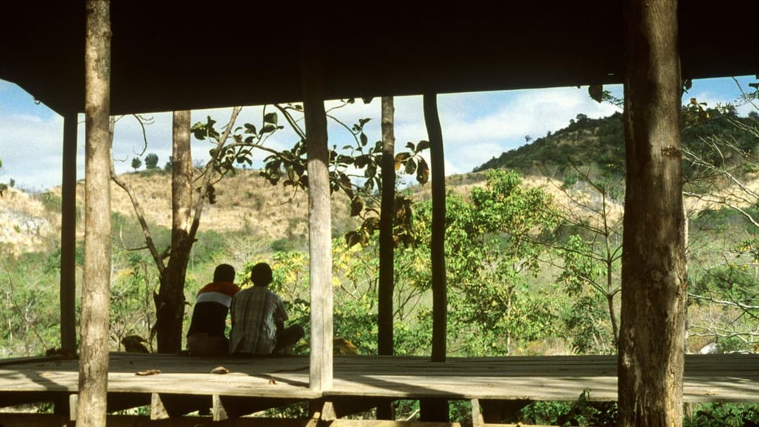 Tropical Malady backdrop 16