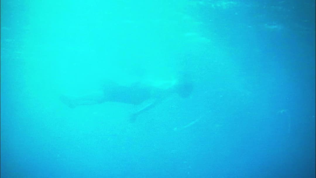 リリイ・シュシュのすべて backdrop 8