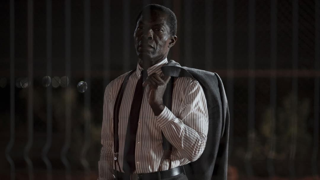 The Fence backdrop 2