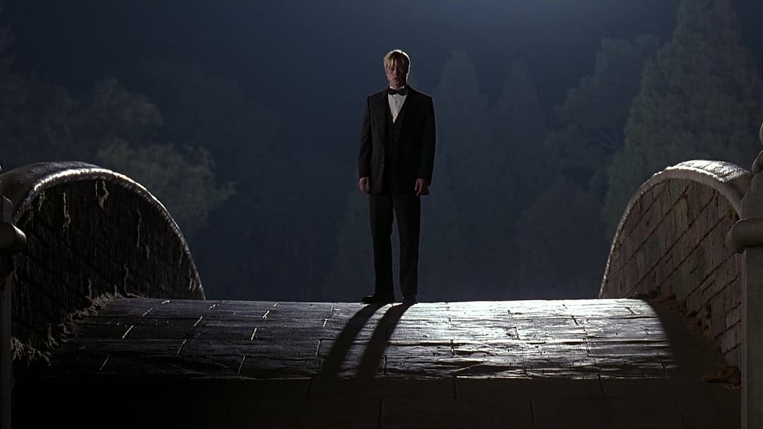 Rendezvous mit Joe Black backdrop 16