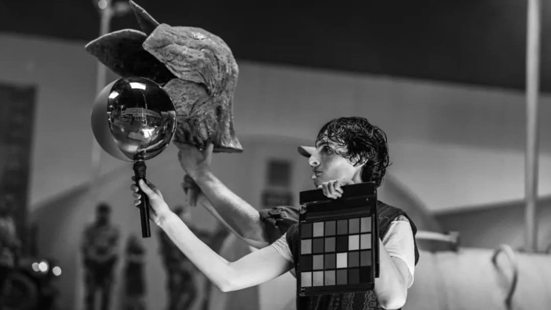 Ein letztes Abenteuer: Making Stranger Things 5 backdrop 3