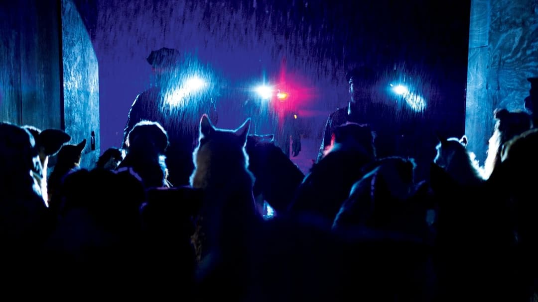 Догмен backdrop 10