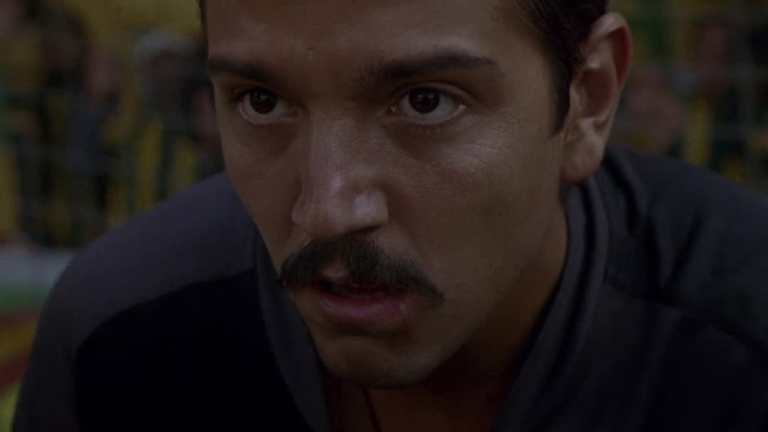 Рудо та Курсі backdrop 16