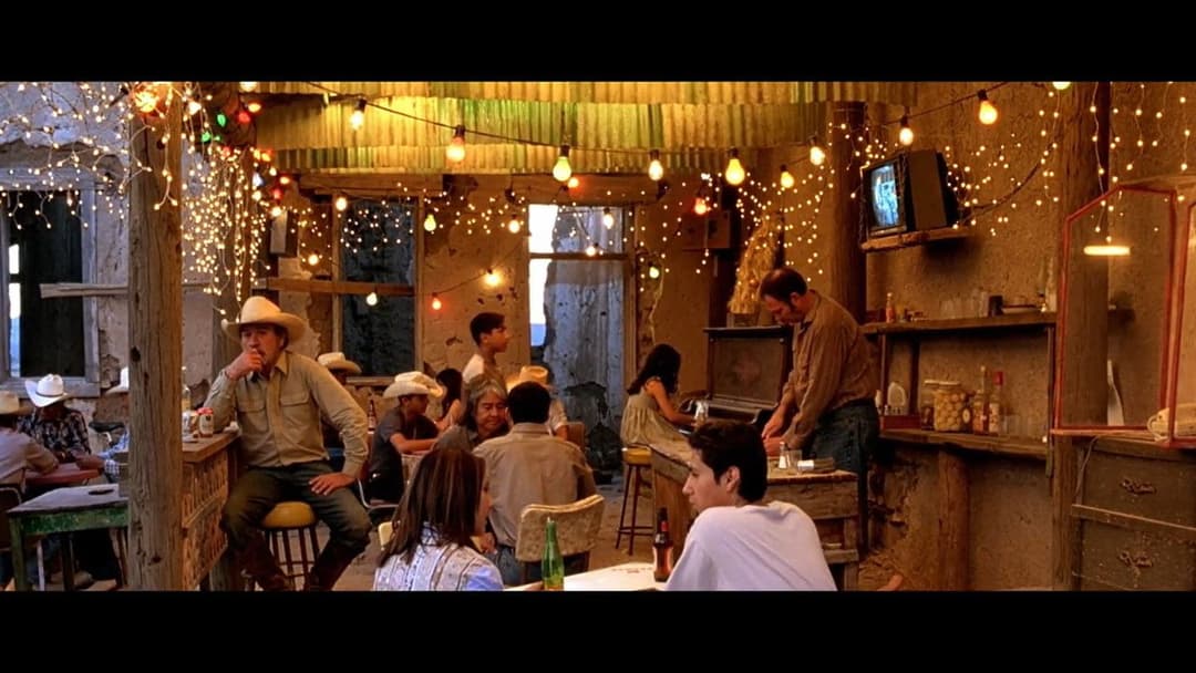 The Three Burials of Melquiades Estrada backdrop 4