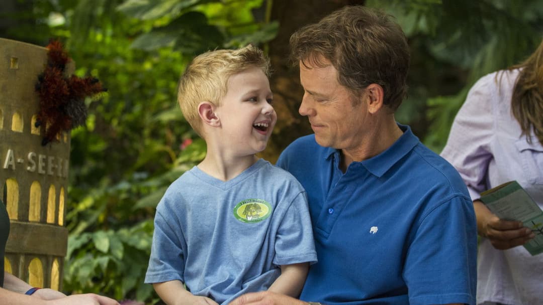 Небеса реальні backdrop 11