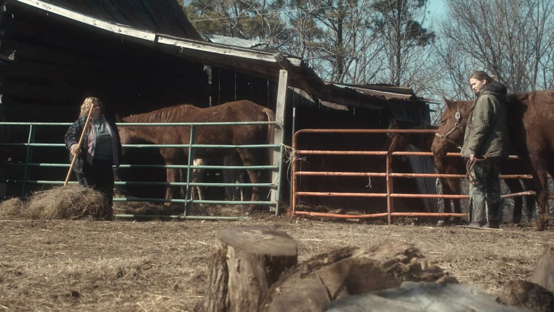 Зимова кістка backdrop 10