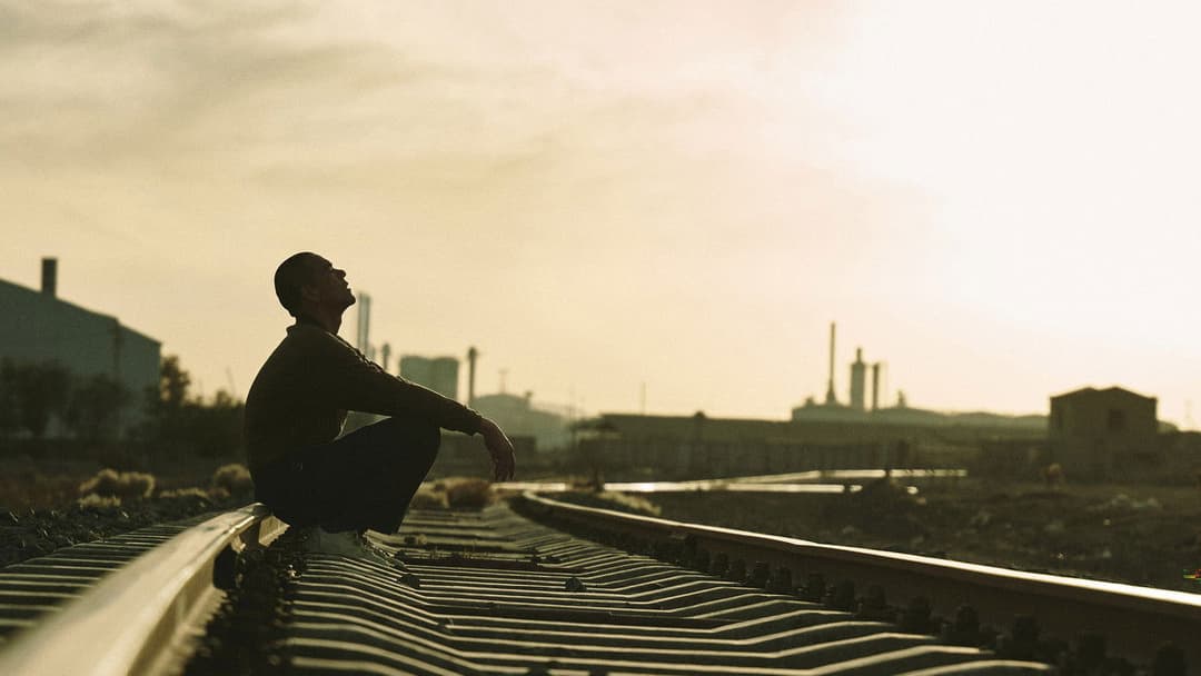 Black Dog - Weggefährten backdrop 13