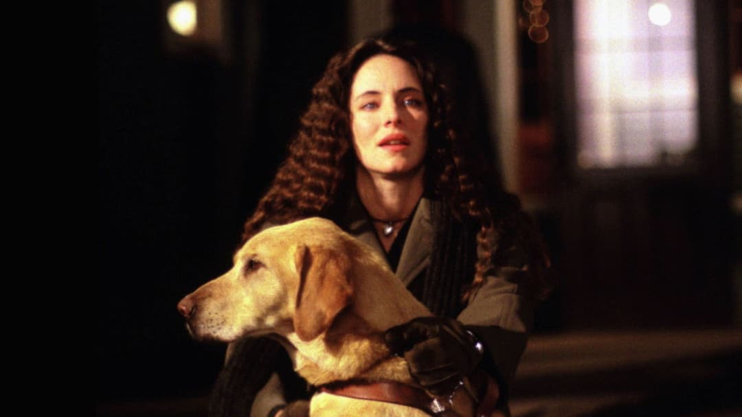 Blink - Tödliche Augenblicke backdrop 5