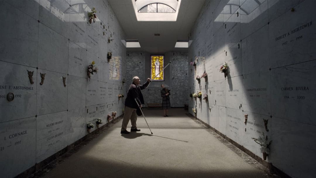 Ірландець backdrop 17