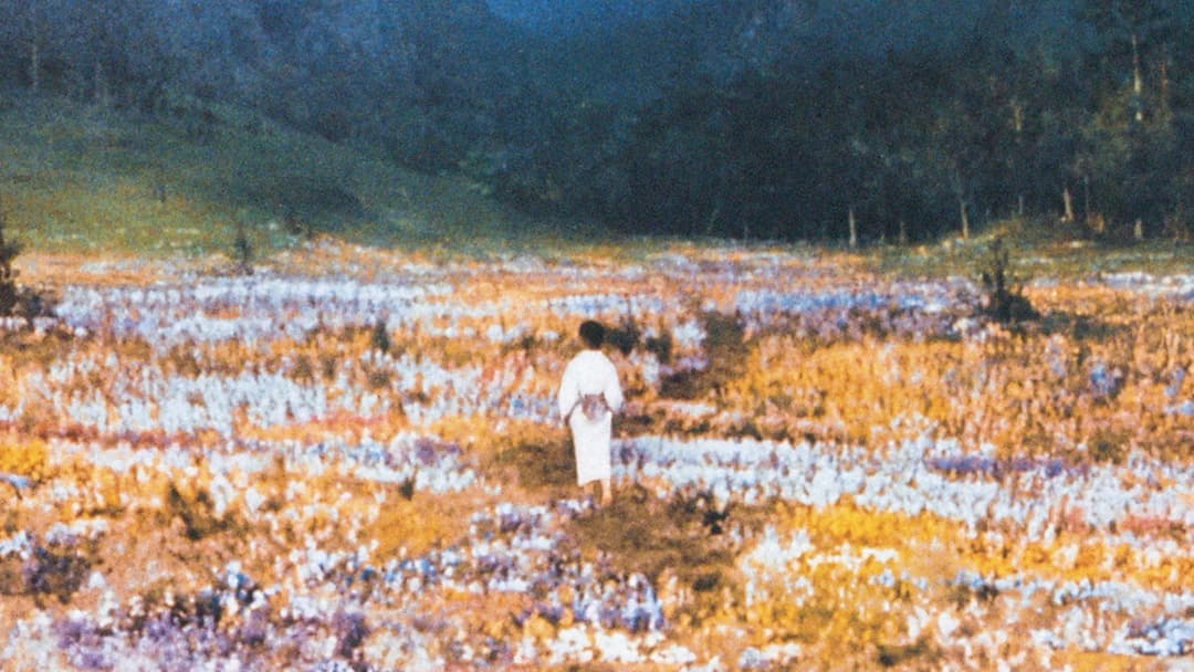 Akira Kurosawas Träume backdrop 4