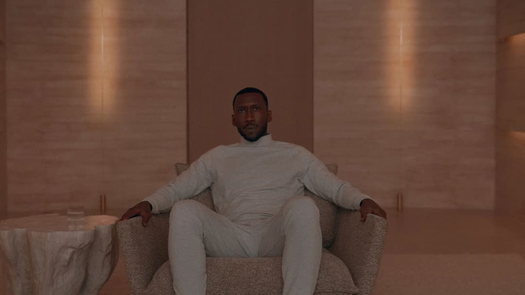 Schwanengesang backdrop 13