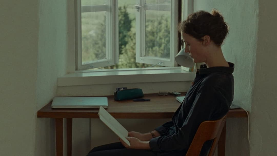 Bergman Island backdrop 15