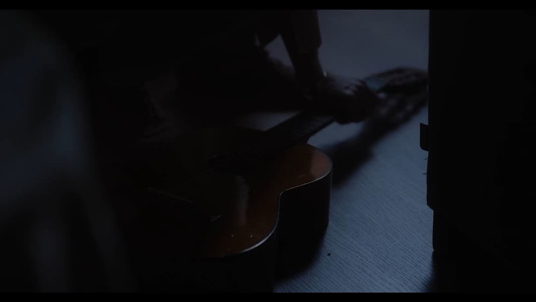 Widerhall backdrop 11