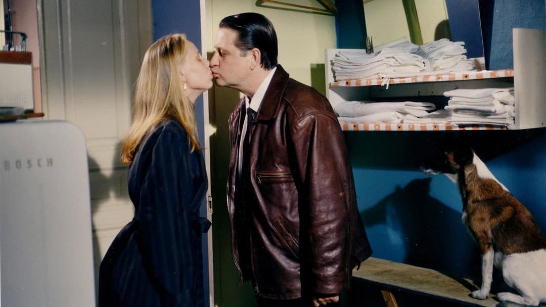 Хмари пливуть вдалечінь backdrop 17