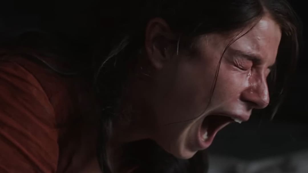 Гамнет backdrop 14