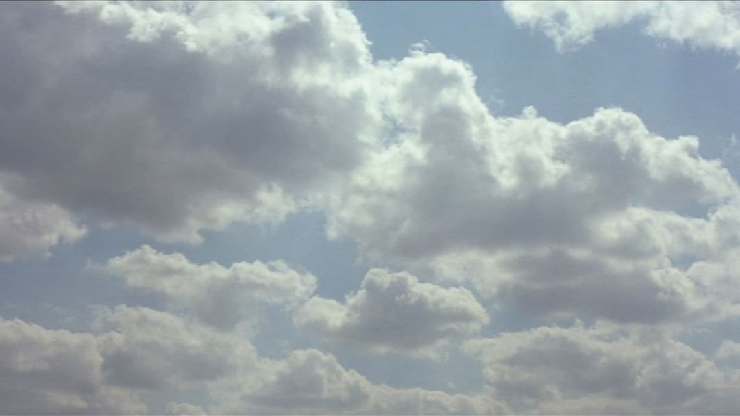 The Straight Story - Eine wahre Geschichte backdrop 9