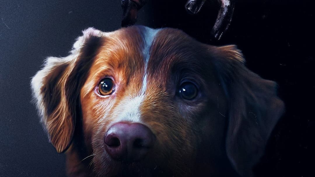 Good Boy - Trust His Instincts backdrop 19