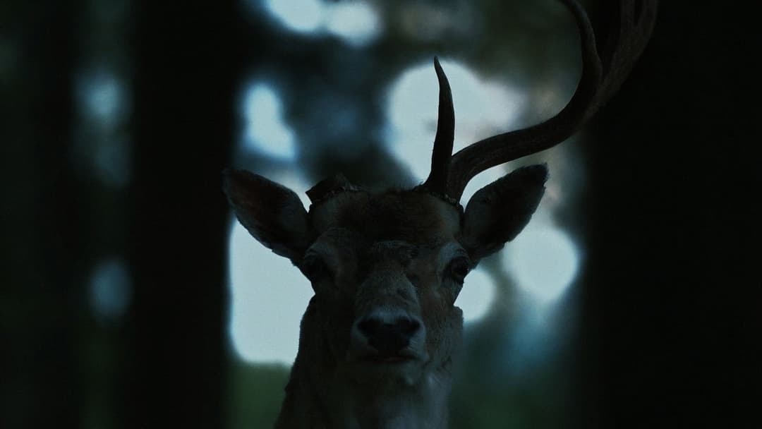 Significant Other backdrop 10