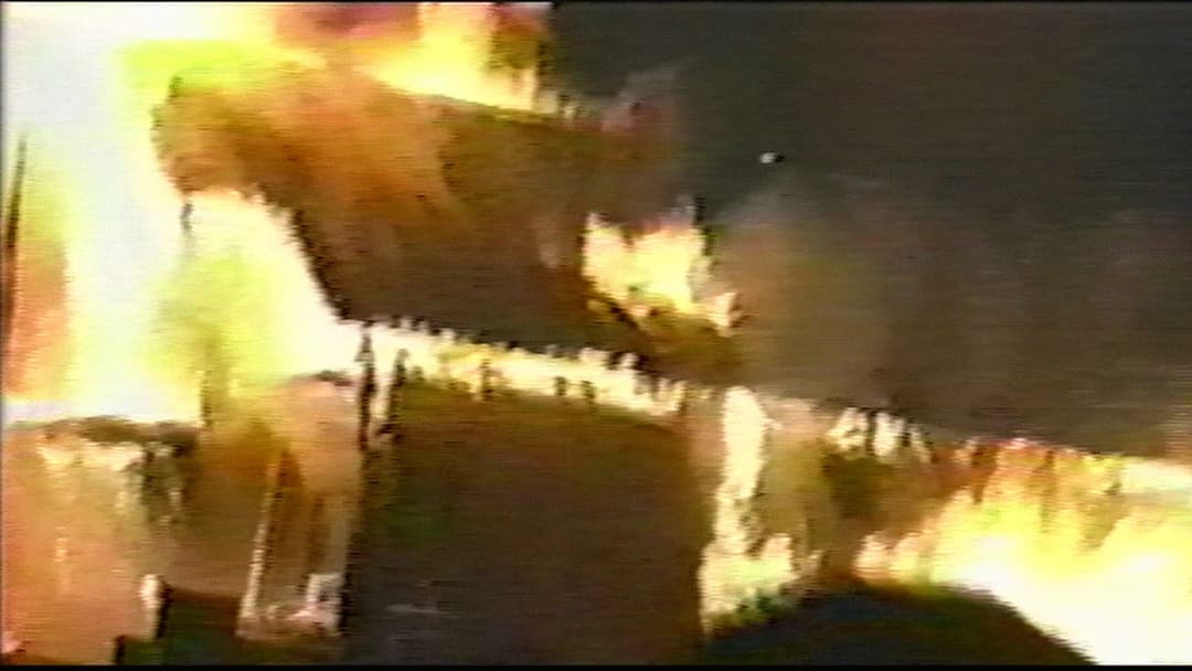 ノロイ backdrop 15