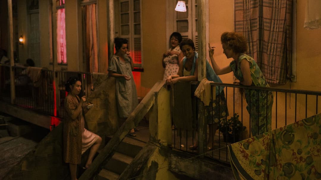 A Vida Invisível backdrop 11