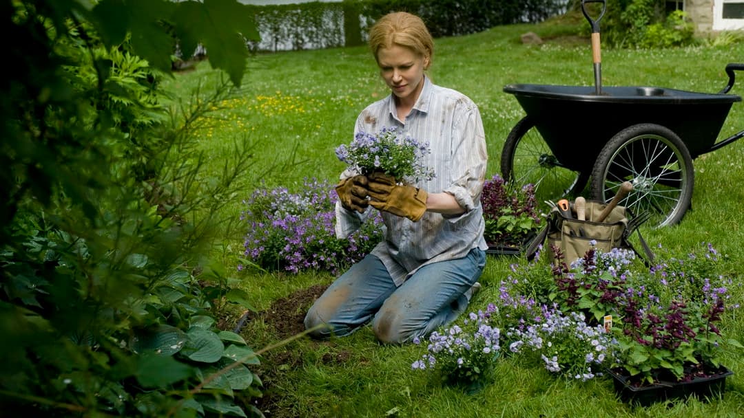 Rabbit Hole backdrop 4