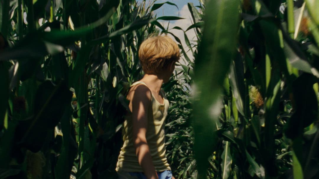 Я бачу, Я бачу backdrop 10