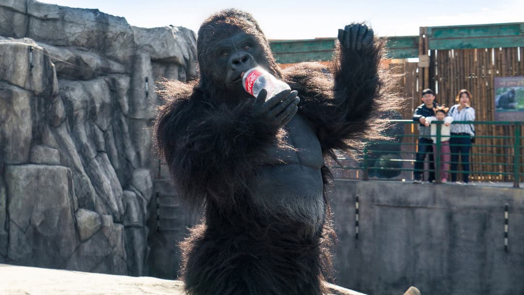 해치지않아 backdrop 12