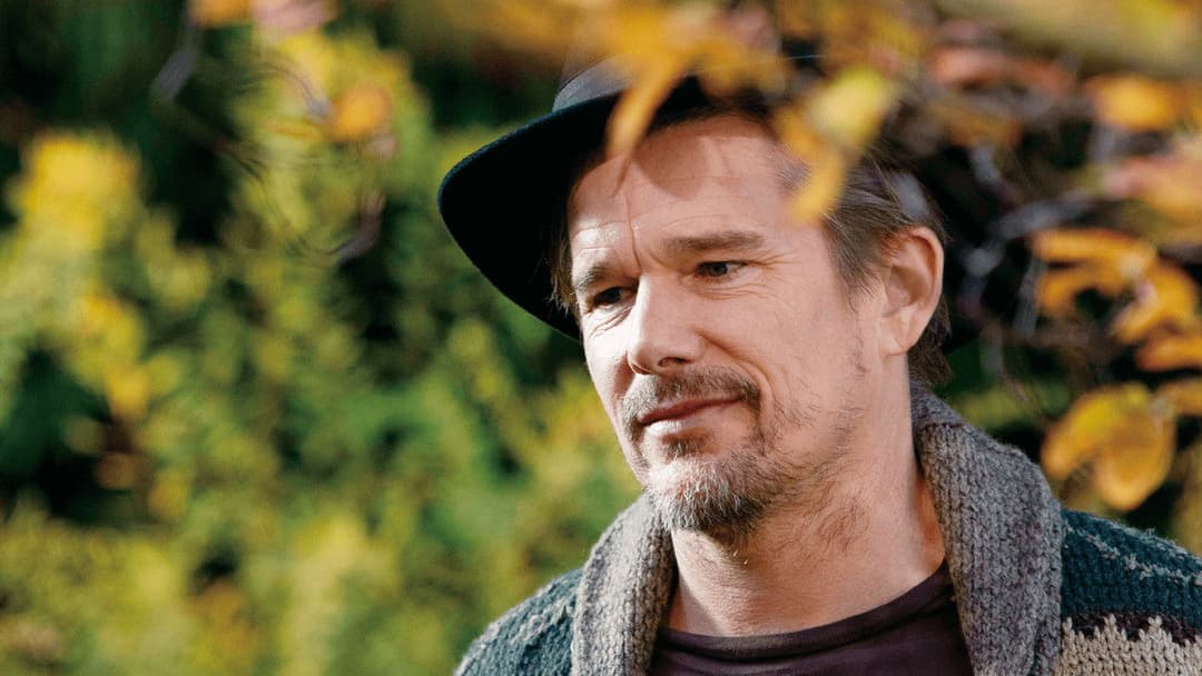 Правда backdrop 6