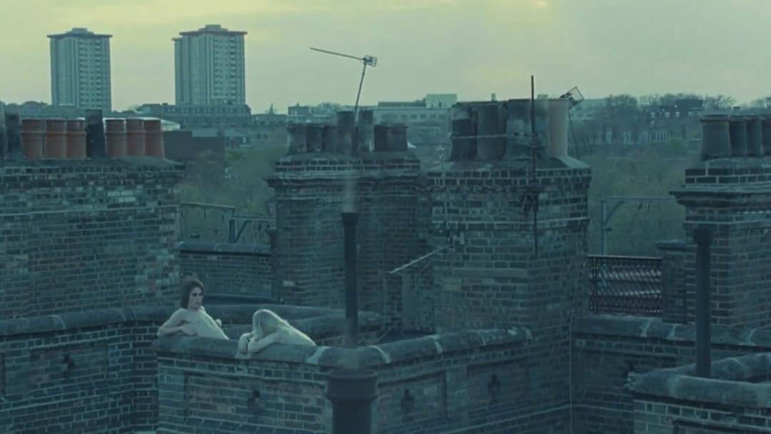 Оксамитова копальня backdrop 17