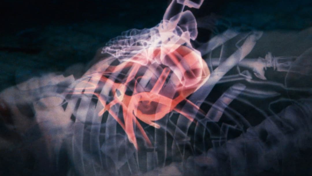 지구를 지켜라! backdrop 12