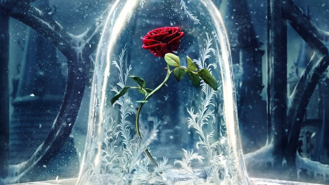 Die Schöne und das Biest backdrop 8