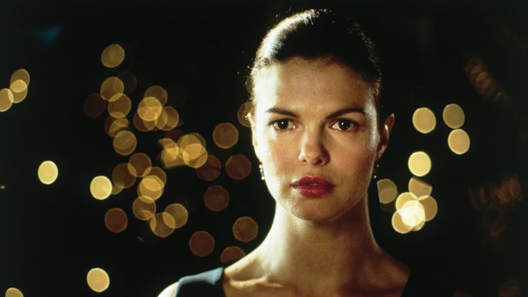 Фірма backdrop 16