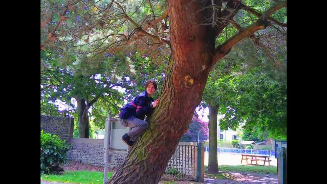 Shooting a Dream backdrop 1