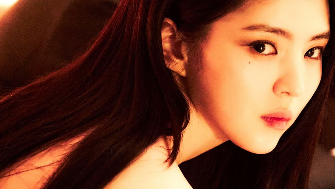 프로젝트 Y backdrop 14