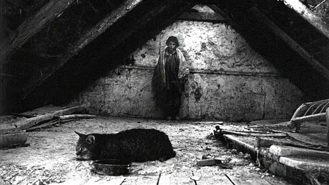 Sátántangó backdrop 14