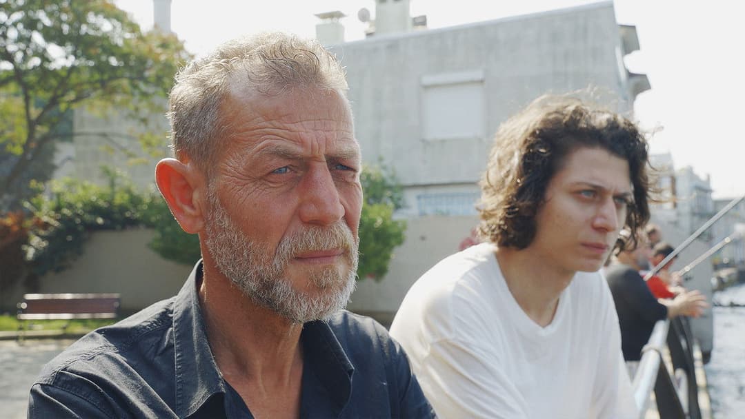 The Leaf Covered in Hoarfrost backdrop 12