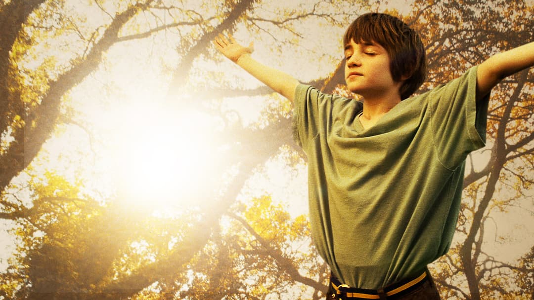 Das wundersame Leben von Timothy Green backdrop 9