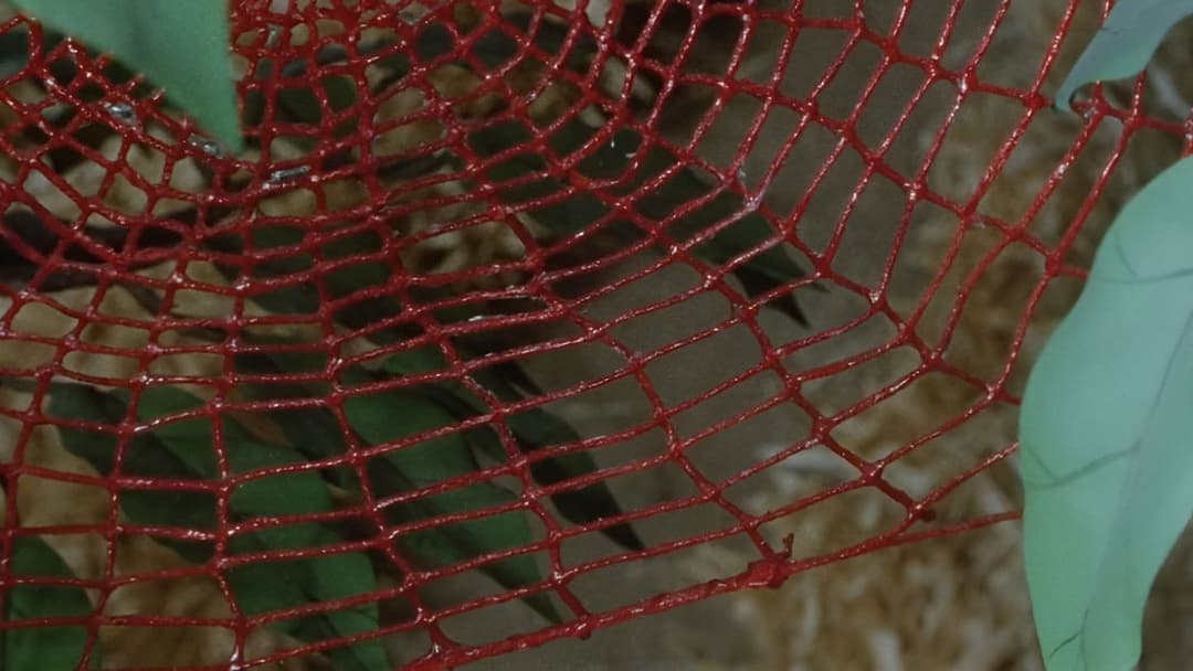 Blood Tea and Red String backdrop 11