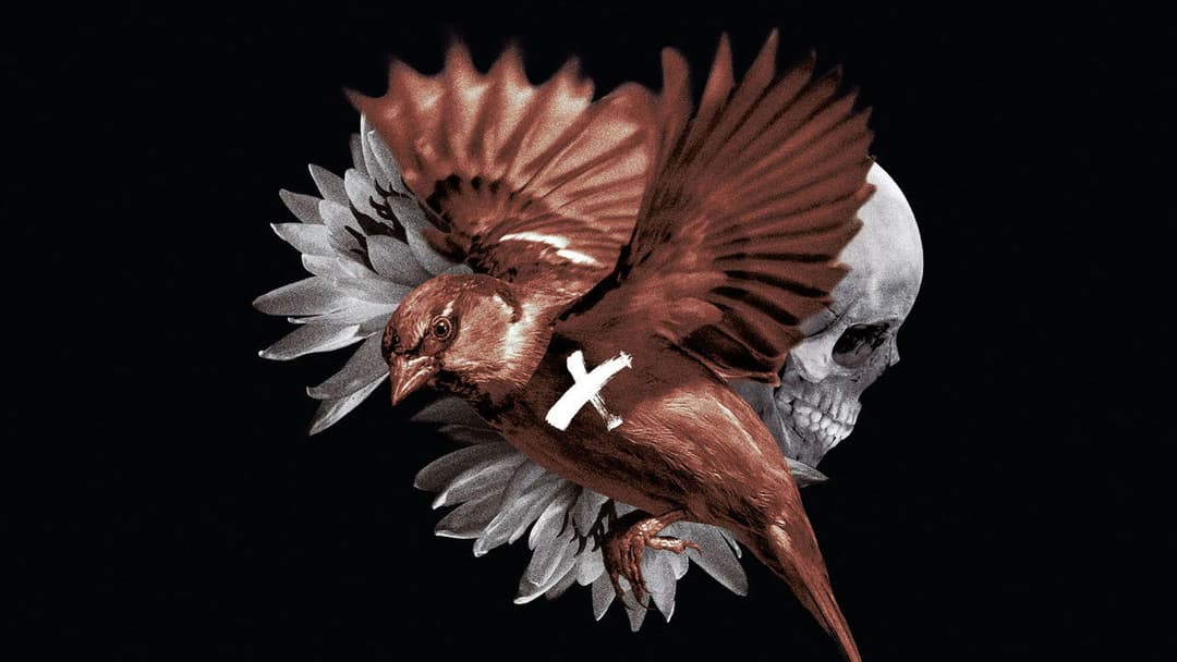 Пофарбоване пташеня backdrop 10